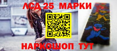 крисы Кулебаки
