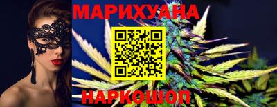 крисы Кулебаки
