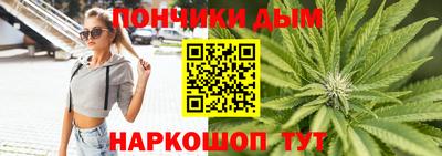 крисы Кулебаки